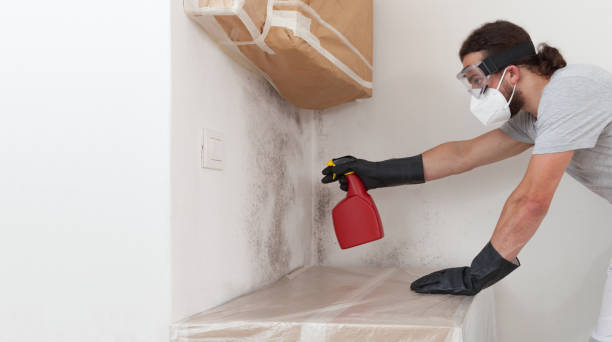 Professional Basement Mold Remediation technician working in Madison, GA