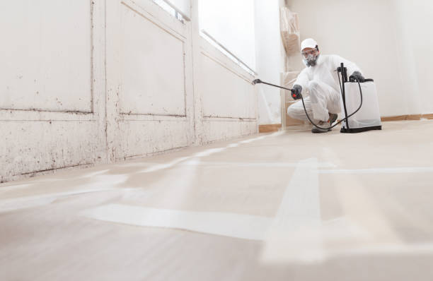 24/7 Emergency Basement Mold Remediation experts in Madison, GA