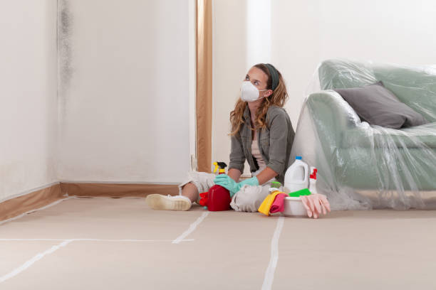 Reliable Basement Mold Remediation contractor in Madison, GA by WQB Mold Removal